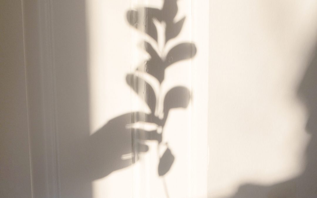 GRATITUDE PROMPTS: WELLNESS PRACTITIONERS GIVE THANKS