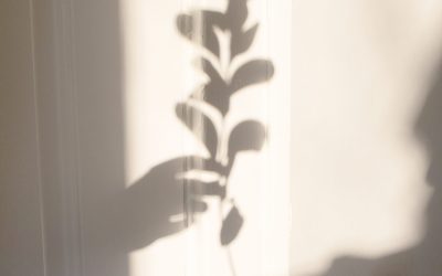 GRATITUDE PROMPTS: WELLNESS PRACTITIONERS GIVE THANKS